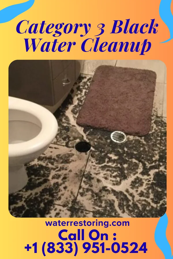 Category 3 Black Water Cleanup in Maili, HI