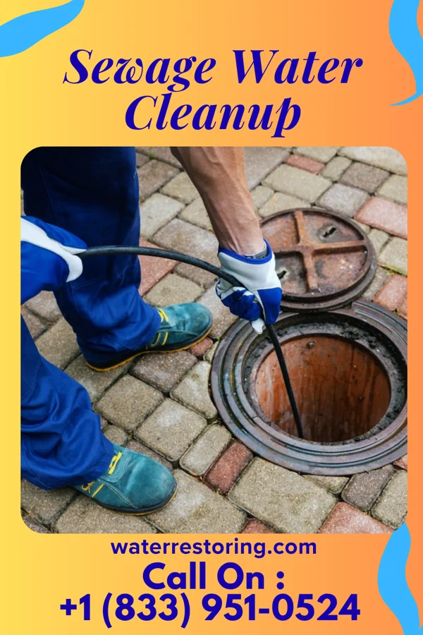 Sewage Water Cleanup in Maili, HI